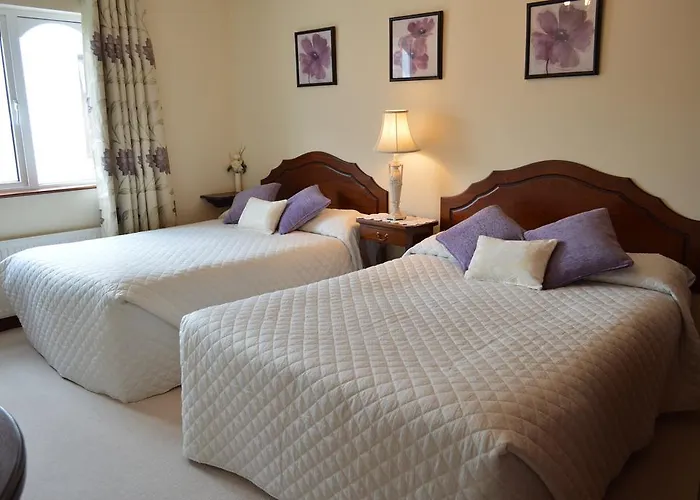 Caseys Homedale 3* Killarney